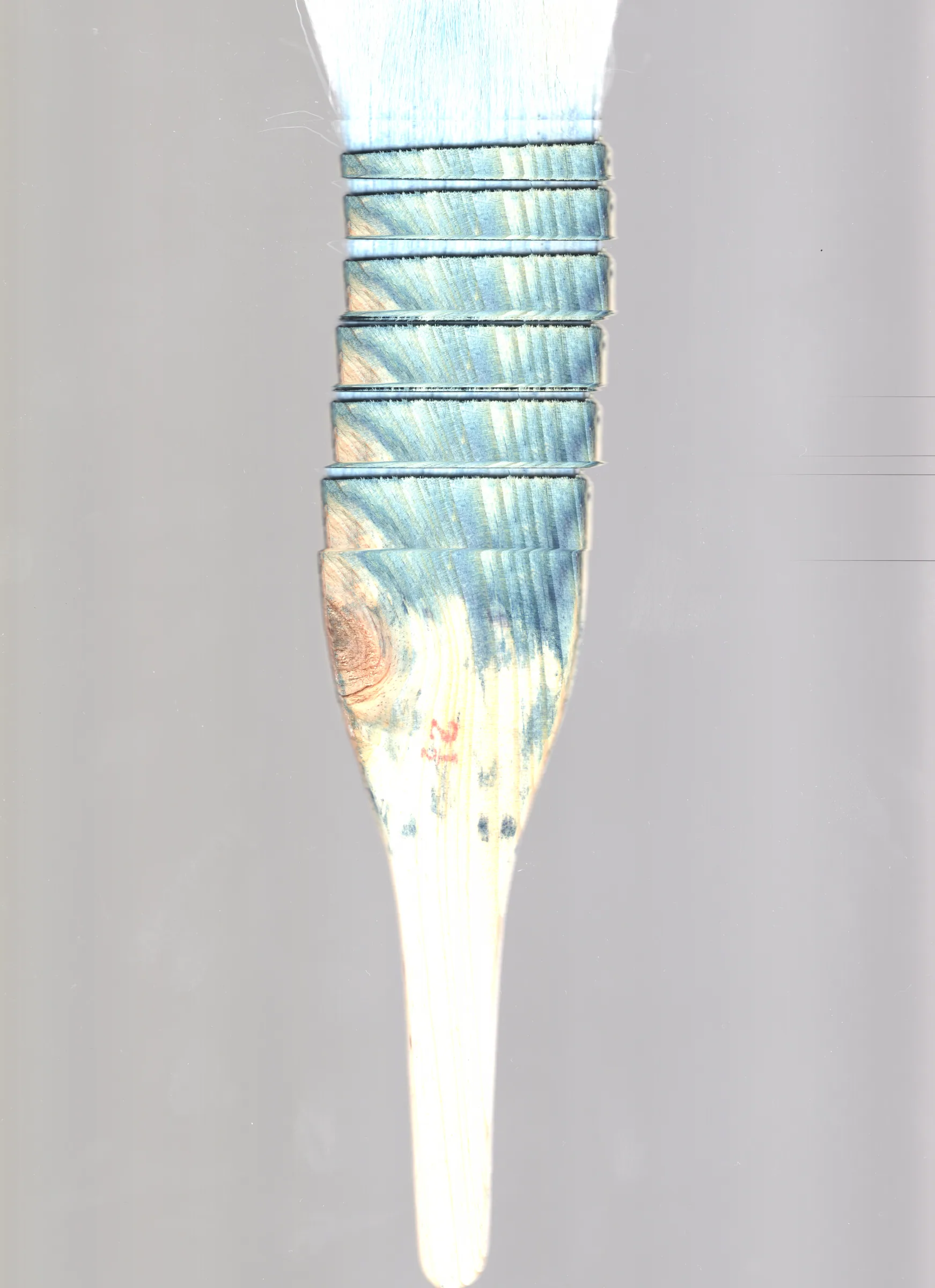 掃描 新增作品 2