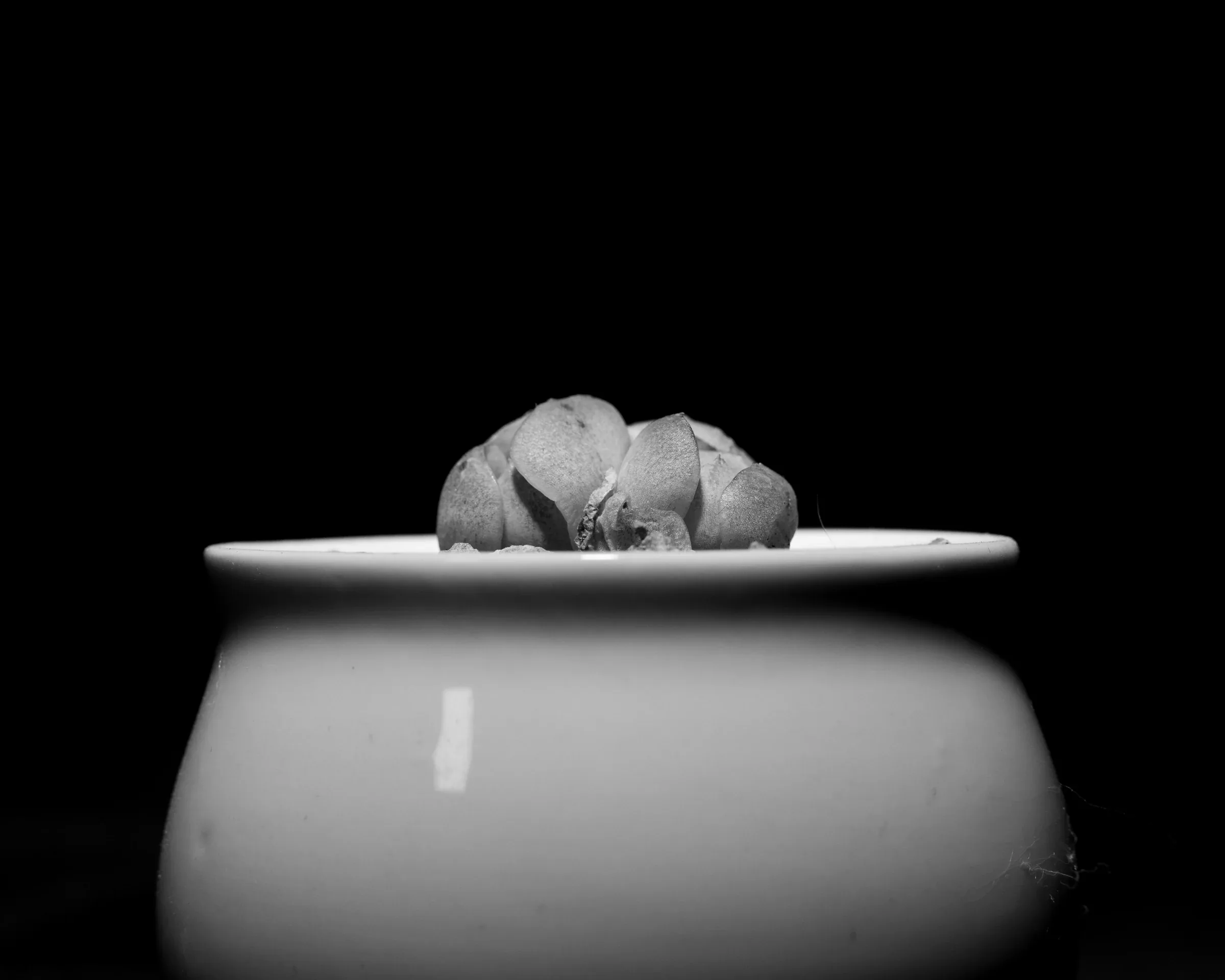 她的靈魂 15