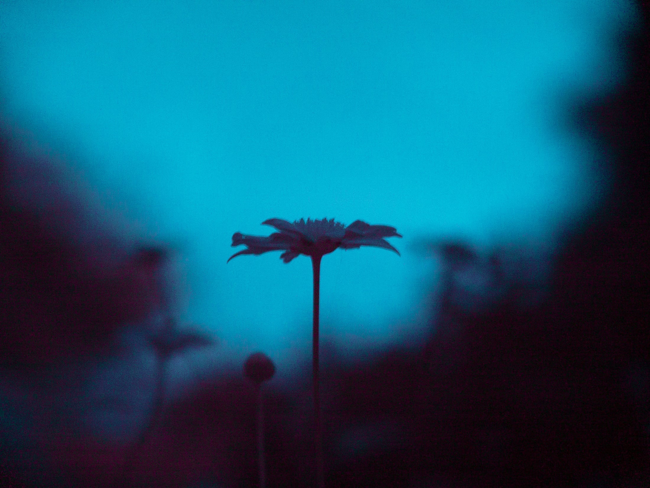 紅外 7